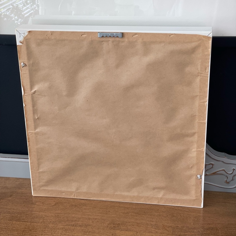 Shadow Boxed Gilt Sand Dollar White Wooden Frame EUC - Picture 4 of 6